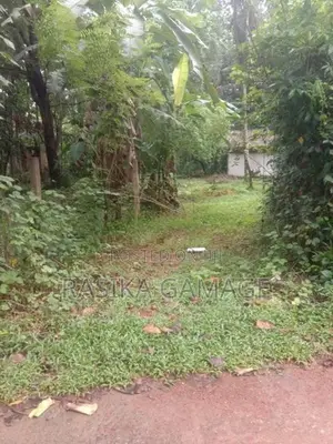 අවිස්සාවේල්ල ඉඩමක් විකිණීමට