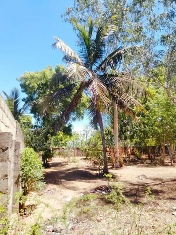 Land for Sale - Palamumai 02