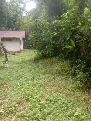 අවිස්සාවේල්ල ඉඩමක් විකිණීමට