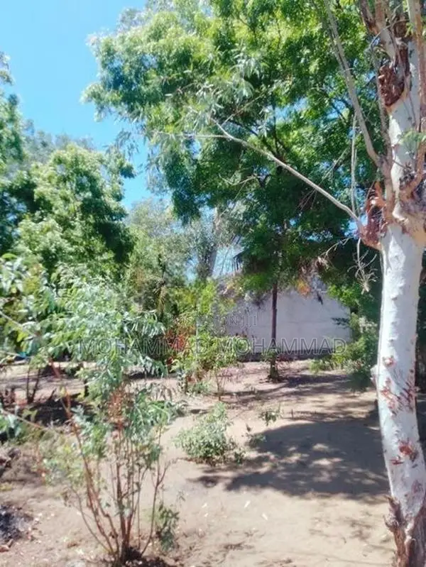 Land for Sale - Palamumai 02