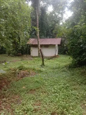 අවිස්සාවේල්ල ඉඩමක් විකිණීමට