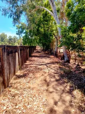 Land for Sale - Palamumai 02