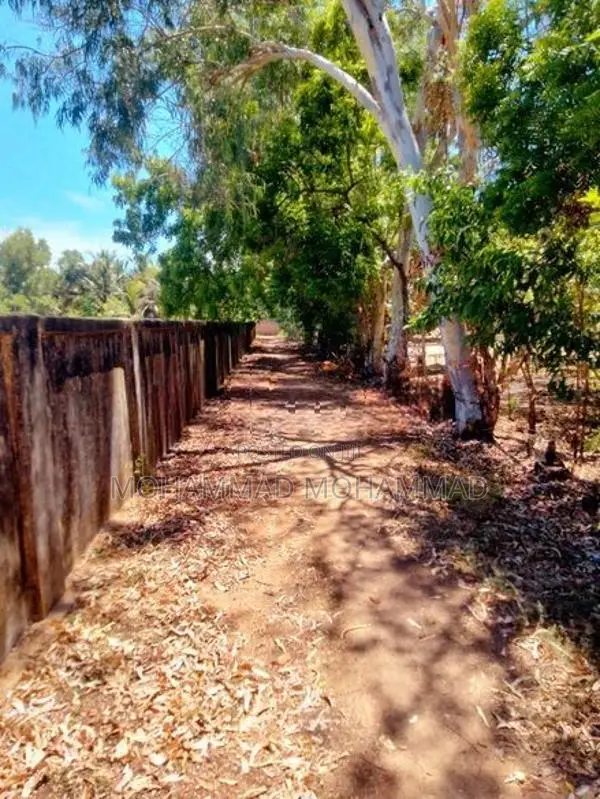Land for Sale - Palamumai 02