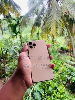 Apple iPhone 11 Pro (Used)