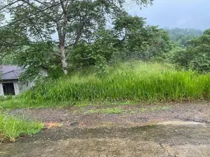 Land for Sale – Wewaldeniya