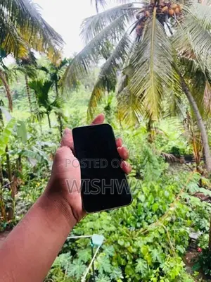 Apple iPhone 11 Pro (Used)