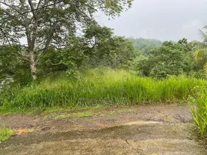 Land for Sale – Wewaldeniya