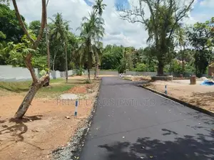 පන්නිපිටිය බිම් කොටස් විකිණීමට