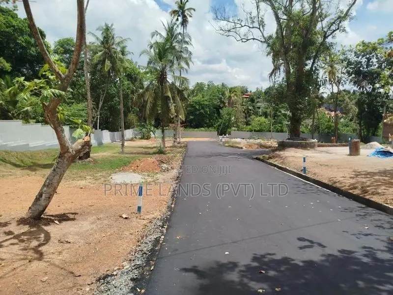 පන්නිපිටිය බිම් කොටස් විකිණීමට