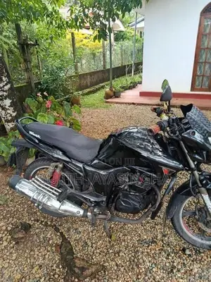 Hero Hunk 160R VC 3360 2009