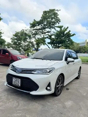 Toyota Axio WXB 2018