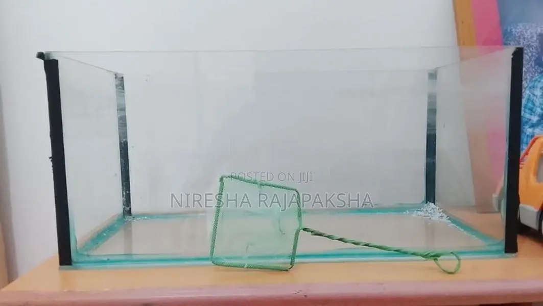 Fish Tank