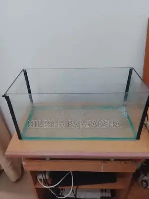 Fish Tank