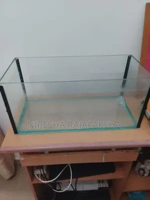 Fish Tank