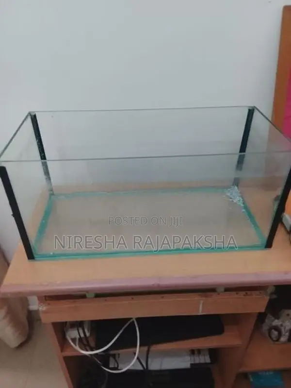 Fish Tank