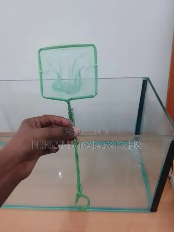 Fish Tank