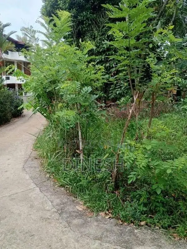 පාදුක්ක නගරයට මීටර් 500ක් දුරින් පිහිටි හරි හතරැස් ඉඩම විකිනීමට
