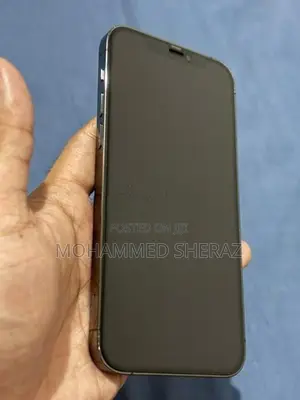 Apple iPhone 12 Pro (Used)