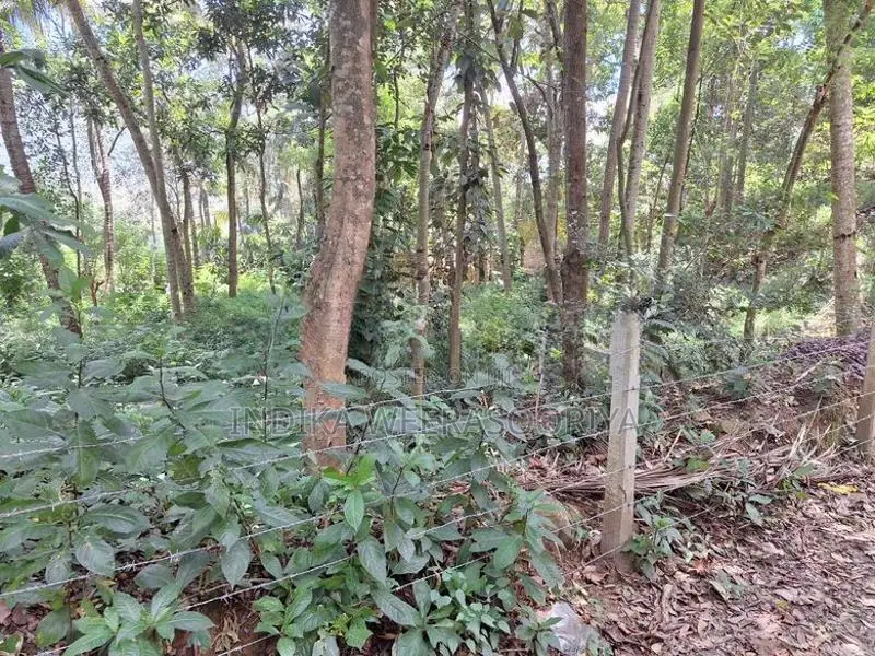 Land for Sale in Kundasale