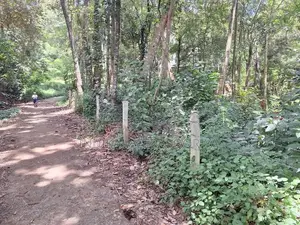 Land for Sale in Kundasale