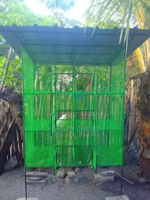 Bird Cage