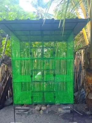 Bird Cage