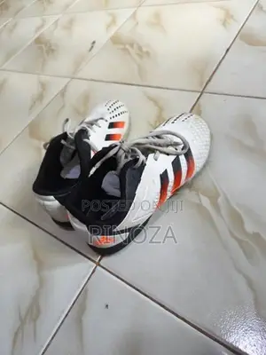 Sport Shoes