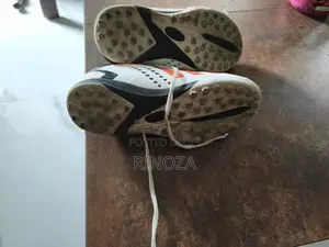 Sport Shoes