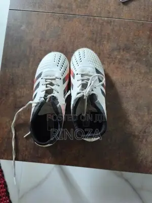 Sport Shoes