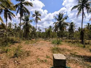 මීරිගම ලෝලුවාගොඩ නගරයට 1km නුදුරින් ඉඩමක්