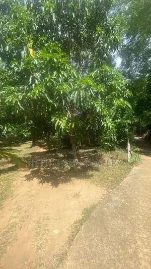 ඇඹිලිපිටිය ඉඩමක් හා නිවසක් විකිණීමට