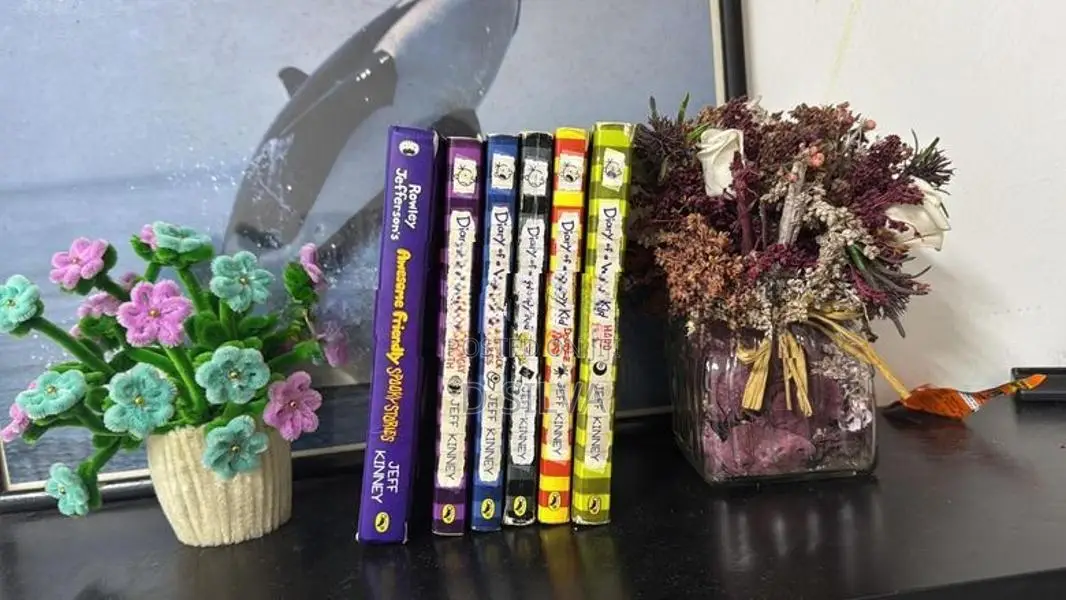 Wimpy Kid Books Set