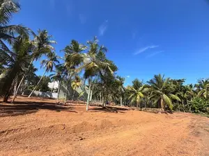 Kesbewa Land for Sale Near 120 Road