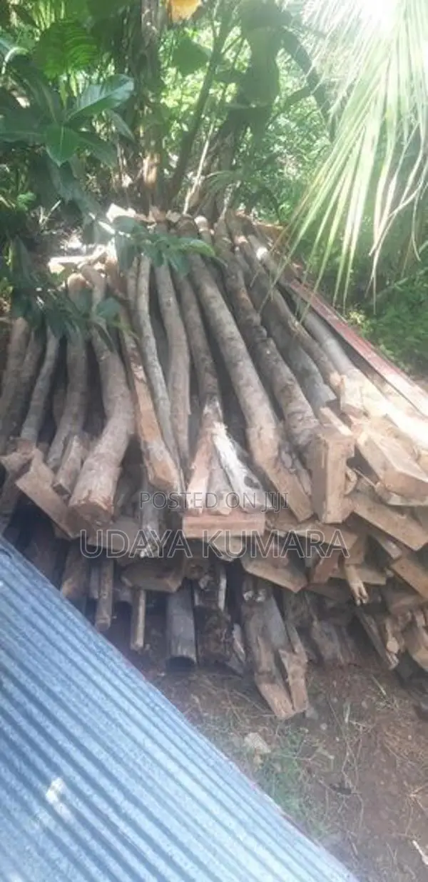 ලී මුක්කු 2 x 4 ජොඉස් සමග
