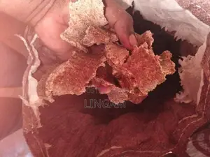 புண்ணாக்கு