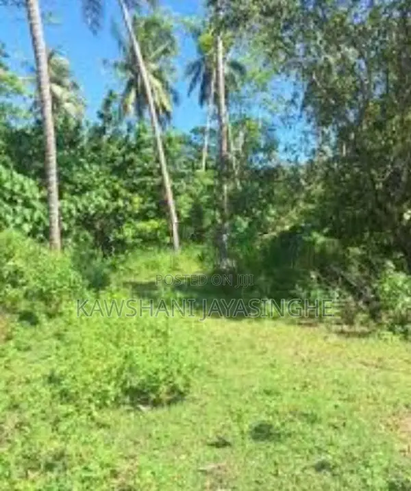 මාතලේ නගරයට 2Km Land for Sale