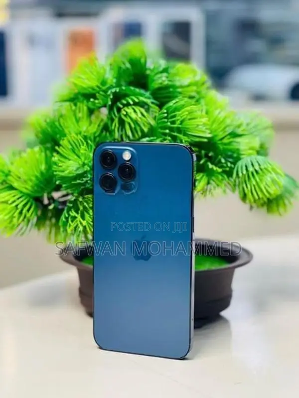 Apple iPhone 12 Pro (Used)