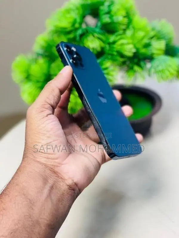 Apple iPhone 12 Pro (Used)