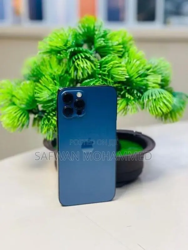 Apple iPhone 12 Pro (Used)