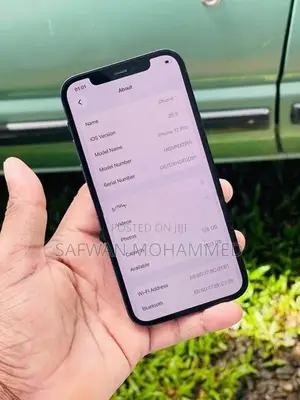 Apple iPhone 12 Pro (Used)