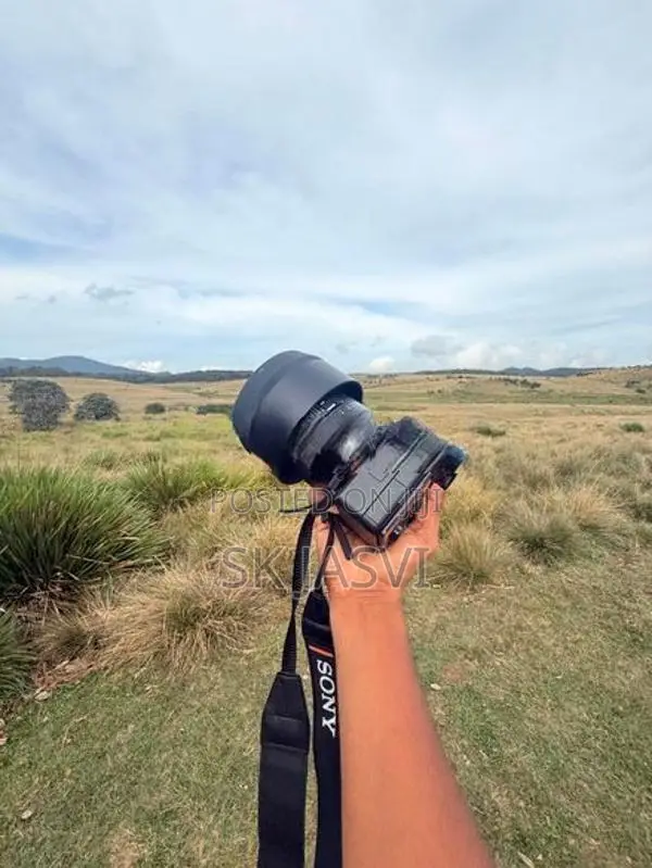 Sony A7 iii with Sigma 85 mm Lens