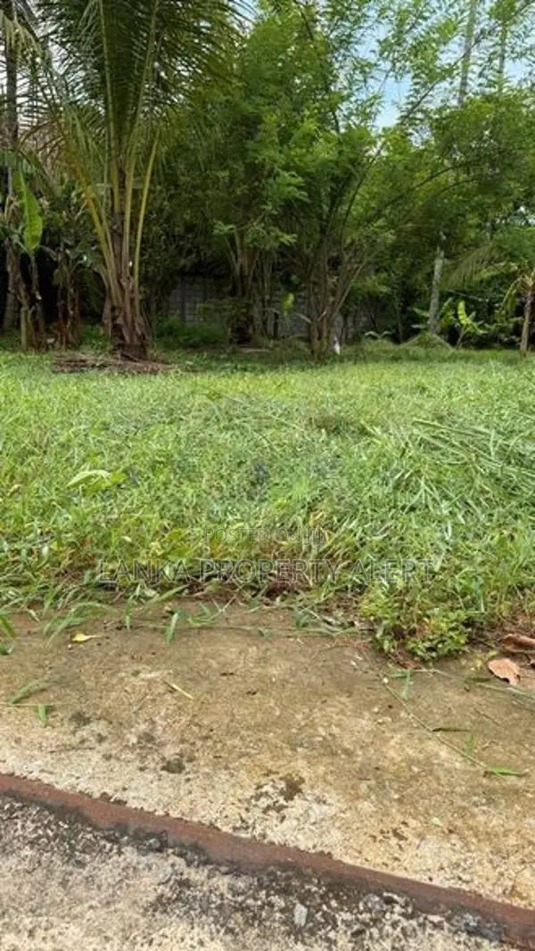 කුරුණෑගල නගරයේ වටිනා ඉඩමක් විකිණීමට