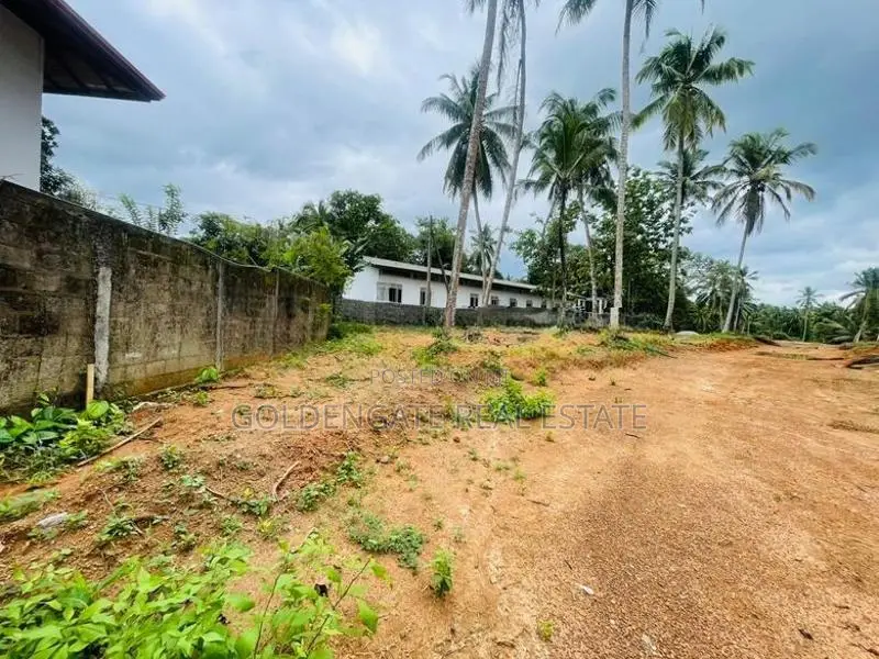 Yakkala නගරයෙන් වටිනා බිම්කොටසක් විකිණීමට