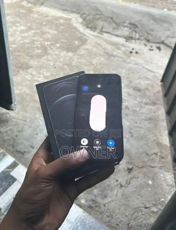 Apple iPhone 12 Pro 256GB (Used)