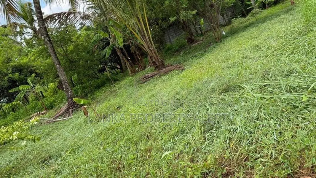 කුරුණෑගල නගරයේ වටිනා ඉඩමක් විකිණීමට