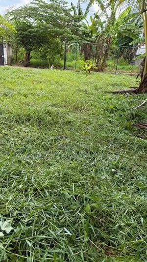 කුරුණෑගල නගරයේ වටිනා ඉඩමක් විකිණීමට