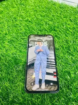 Apple iPhone X (Used)