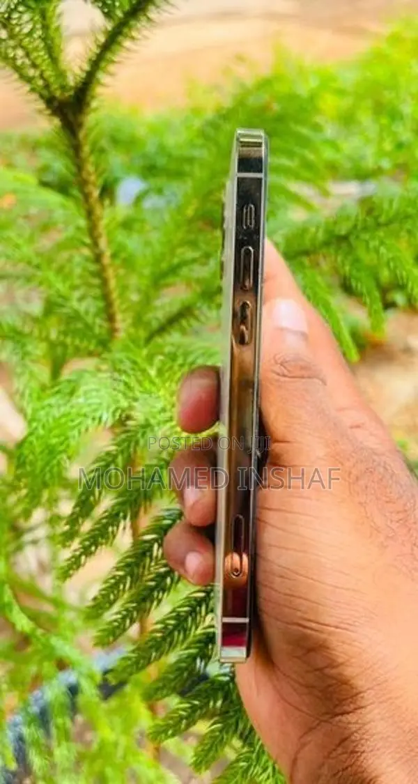 Apple iPhone 12 Pro (Used)