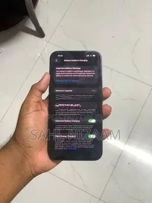 Apple iPhone 13 Pro Max (Used)
