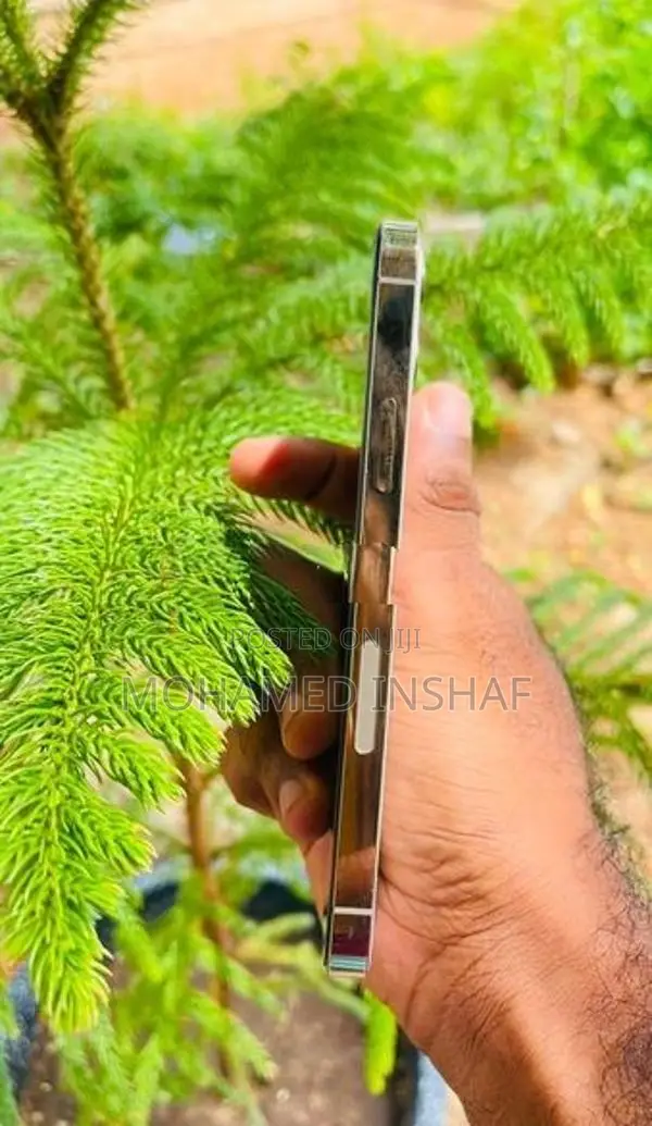 Apple iPhone 12 Pro (Used)